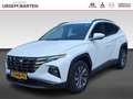 Hyundai TUCSON 1.6 T-GDI HEV Comfort Stoelverwarming | Apple Carp Blanc - thumbnail 1