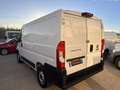 Fiat Ducato FIAT DUCATO 30 ch1 2.3 MULTIJET 120 cv euro 6dtemp Bianco - thumbnail 3