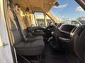 Fiat Ducato FIAT DUCATO 30 ch1 2.3 MULTIJET 120 cv euro 6dtemp Bianco - thumbnail 9
