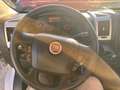Fiat Ducato FIAT DUCATO 30 ch1 2.3 MULTIJET 120 cv euro 6dtemp Blanco - thumbnail 16
