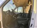 Fiat Ducato FIAT DUCATO 30 ch1 2.3 MULTIJET 120 cv euro 6dtemp Bianco - thumbnail 5