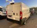 Fiat Ducato FIAT DUCATO 30 ch1 2.3 MULTIJET 120 cv euro 6dtemp Bianco - thumbnail 2