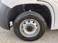 Fiat Ducato FIAT DUCATO 30 ch1 2.3 MULTIJET 120 cv euro 6dtemp Bianco - thumbnail 13