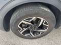 Kia Sportage 1.6 Business Class ecogpl 2wd 1 Grigio - thumbnail 13