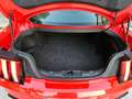 Ford Mustang 5.0 Ti-VCT V8 336KW  GT AT(Fast.) Rojo - thumbnail 27