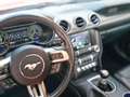 Ford Mustang 5.0 Ti-VCT V8 336KW  GT AT(Fast.) Rojo - thumbnail 12