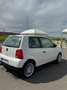 Volkswagen Lupo 1.0 Trendline Blanc - thumbnail 5