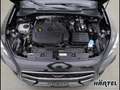 CUPRA Formentor 1.5 TSI DSG (+ACC-RADAR+NAVI+AHK) LED Schwarz - thumbnail 5
