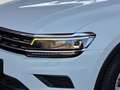 Volkswagen Tiguan 2,0 TDI SCR Comfortline DSG ACC/LED/Navi/SHZ/1.Be Weiß - thumbnail 9