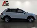Volkswagen Tiguan 2,0 TDI SCR Comfortline DSG ACC/LED/Navi/SHZ/1.Be Weiß - thumbnail 4