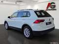Volkswagen Tiguan 2,0 TDI SCR Comfortline DSG ACC/LED/Navi/SHZ/1.Be Weiß - thumbnail 7
