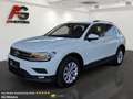 Volkswagen Tiguan 2,0 TDI SCR Comfortline DSG ACC/LED/Navi/SHZ/1.Be Weiß - thumbnail 1