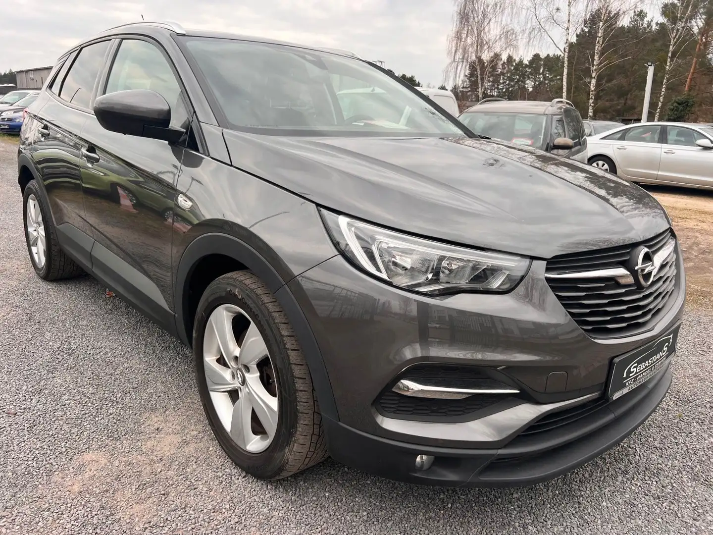 Opel Grandland X LHZ SHZ Klimaautomatik Tempomat Ka - 1