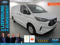 Ford Transit Custom 2.0 300 L2 Heckschwingt.+Kam+AHK