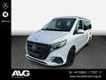 Mercedes-Benz Marco Polo Marco Polo 250d AMG AIRMATIC STDHZ DISTRONIC LED Blanc - thumbnail 1