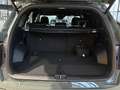 Kia Sorento 1.6T PHEV Platinum Nappa Premium AHK Grün - thumbnail 9
