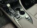 Lexus RX 450h 4WD President Line | Electrisch glazen panoramadak Gris - thumbnail 20