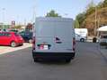 Opel Movano H1 - L1  2.3 CDTI Bianco - thumbnail 3