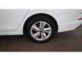 Volkswagen Golf Variant Golf VIII Variant 2.0 TDI Life Aut LED RADAR NAVI Weiß - thumbnail 26