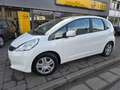 Honda Jazz 1.4 Trend Kamera AHK +GARANTIE+ Weiß - thumbnail 1