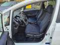 Honda Jazz 1.4 Trend Kamera AHK +GARANTIE+ Weiß - thumbnail 11