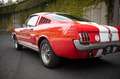 Ford Mustang Fastback Réplique GT350 Rot - thumnbnail 12