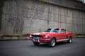 Ford Mustang Fastback Réplique GT350 Rot - thumnbnail 7