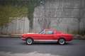 Ford Mustang Fastback Réplique GT350 Rot - thumnbnail 6