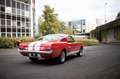 Ford Mustang Fastback Réplique GT350 Rot - thumnbnail 3