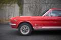 Ford Mustang Fastback Réplique GT350 Rot - thumnbnail 13