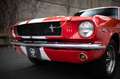 Ford Mustang Fastback Réplique GT350 Rot - thumnbnail 9