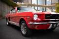 Ford Mustang Fastback Réplique GT350 Rot - thumnbnail 10
