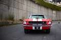 Ford Mustang Fastback Réplique GT350 Rot - thumnbnail 8