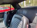 Ford Mustang "OPENHOUSE 25&26 May" Rojo - thumbnail 9
