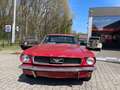 Ford Mustang Rood - thumbnail 6