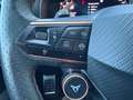 CUPRA Leon Leon 2.0 tdi 150cv dsg Schwarz - thumbnail 6