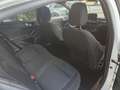 Ford Focus 1.0 Ecoboost ST Line 125 Bianco - thumbnail 10