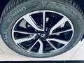 Nissan X-Trail 1.6 dci Tekna 2wd Nero - thumbnail 4