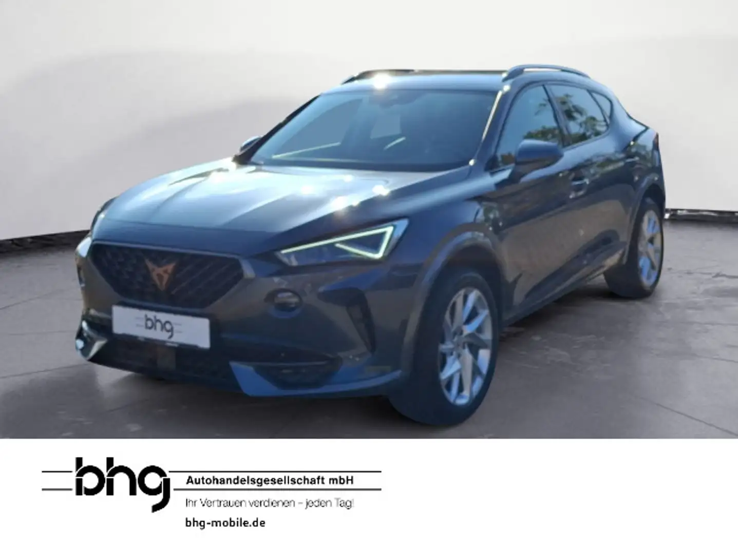 CUPRA Formentor 1.5 TSI DSG Grijs - 1