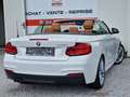 BMW 230 iAS CABRIOLET PACK M Sport*1 MAIN*XENON*GPS*CUIR White - thumbnail 3