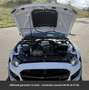 Ford Mustang Shelby GT500 760 Hors homologation 4500e Blanc - thumbnail 2