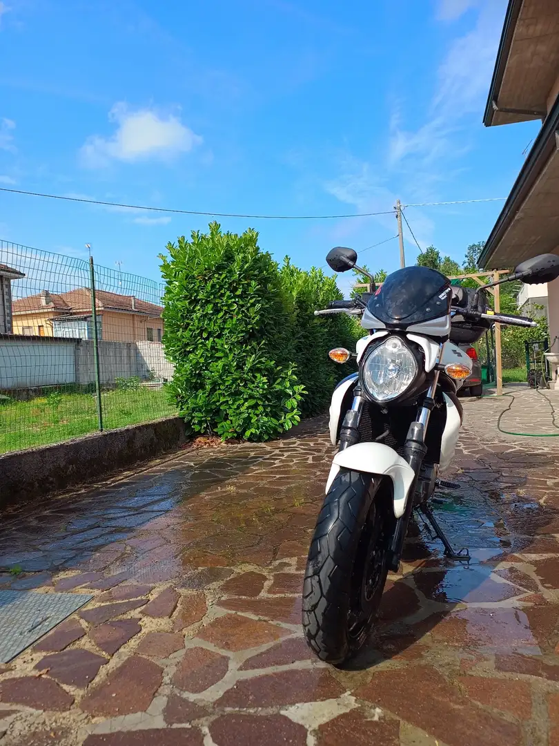 Suzuki Gladius 650 Biały - 2