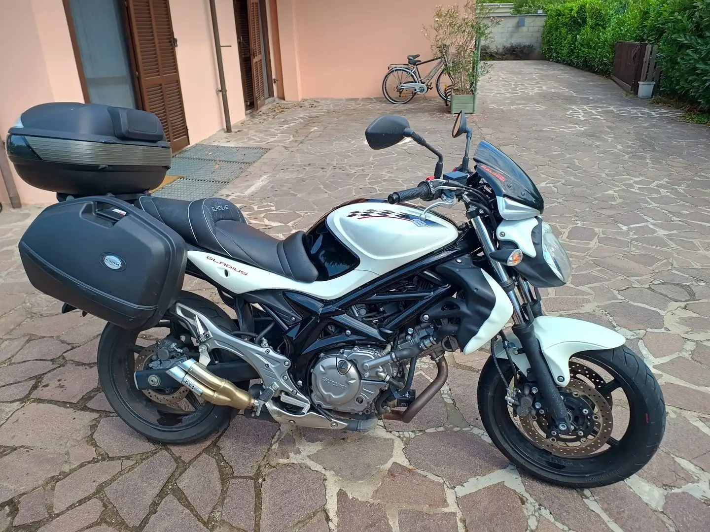 Suzuki Gladius 650 Biały - 1