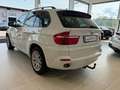 BMW X5 3,0d Aut.*NAVI*XENON*KLIMA*SITZHZG*MFL*KREDIT* Weiß - thumbnail 9