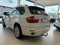 BMW X5 3,0d Aut.*NAVI*XENON*KLIMA*SITZHZG*MFL*KREDIT* Weiß - thumbnail 8