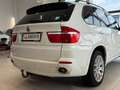 BMW X5 3,0d Aut.*NAVI*XENON*KLIMA*SITZHZG*MFL*KREDIT* Weiß - thumbnail 13