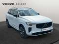 Volvo XC90 T8 Plus Dark / Hybride Blanc - thumbnail 8