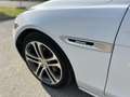 Jaguar XE 20d AWD Aut. R-Sport Weiß - thumbnail 18