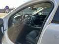 Jaguar XE 20d AWD Aut. R-Sport Weiß - thumbnail 12