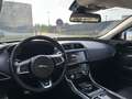 Jaguar XE 20d AWD Aut. R-Sport Weiß - thumbnail 11